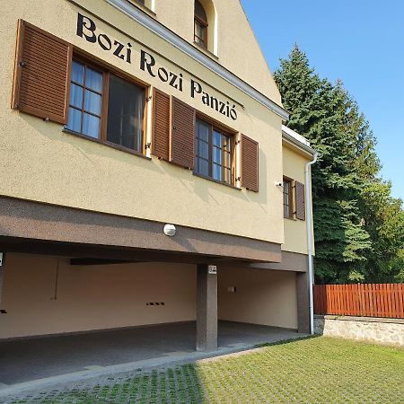 Bozi Rozi Panzio Hotel Fertőboz Екстериор снимка