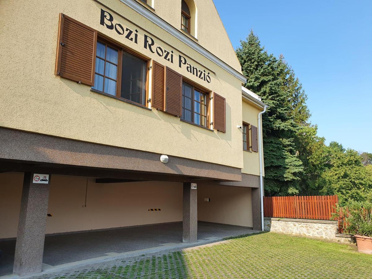 Bozi Rozi Panzio Hotel Fertőboz Екстериор снимка