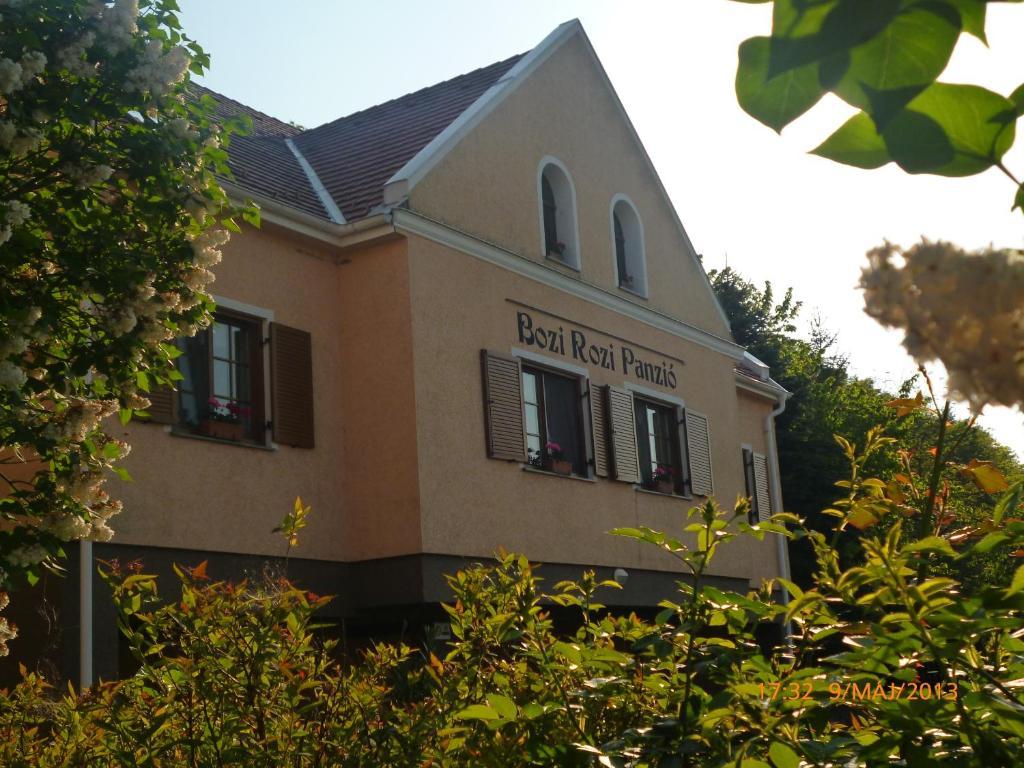 Bozi Rozi Panzio Hotel Fertőboz Екстериор снимка